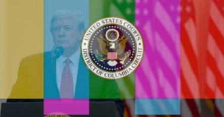 f:id:steyo2001:20211123124053j:plain