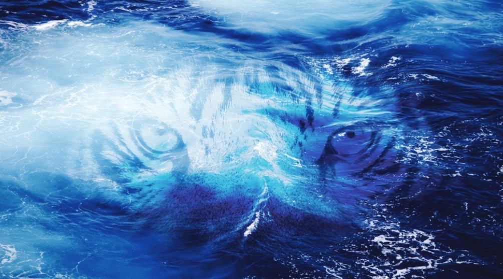 f:id:steyo2001:20220204082822j:plain