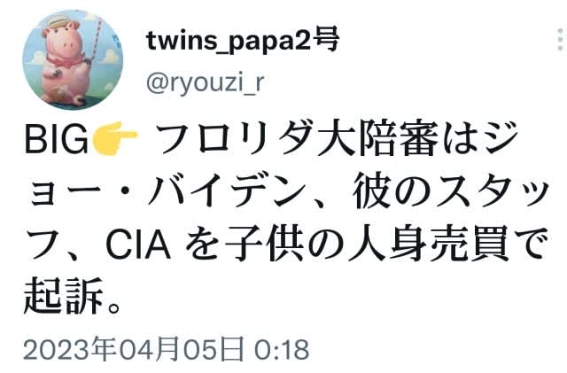 フロリダ大陪審は偽大統領【ジョー・バイデン】彼のスタッフ、CIAを子供の人身売買で起訴！フロリダはトランプ大統領のお膝元！ゲサラは既に稼働！後は全世界的なゲサラ公表！ - みんなが知るべき情報gooブログ