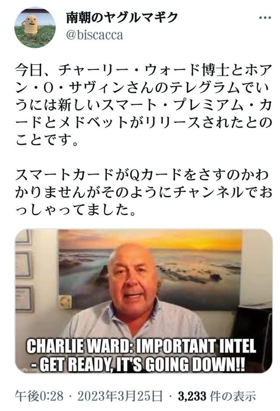 ゲサラ！新しいスマート・プレミアム・カード（UBI分配給付金口座）とメドベットがリリースされたとのことです！チャーリー・ウォード博士とホアン・O・サヴィンさんのテレグラム！ - みんなが知るべき情報gooブログ