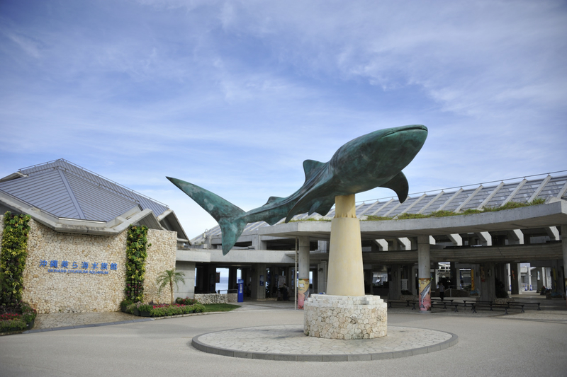 美ら海水族館エントランス