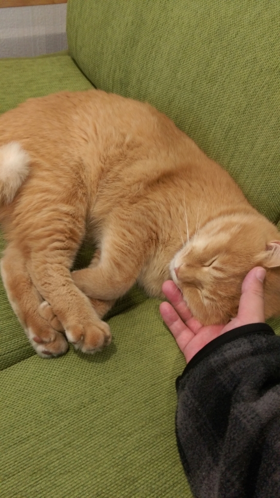 f:id:sticknumber31:20180407202857j:plain