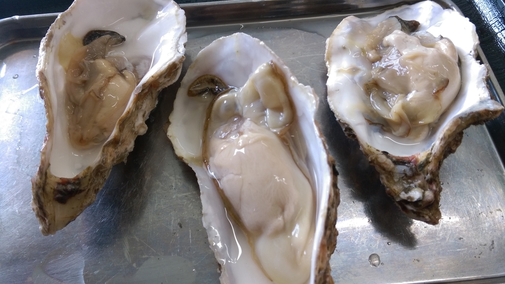 f:id:sticknumber31:20180919222057j:plain