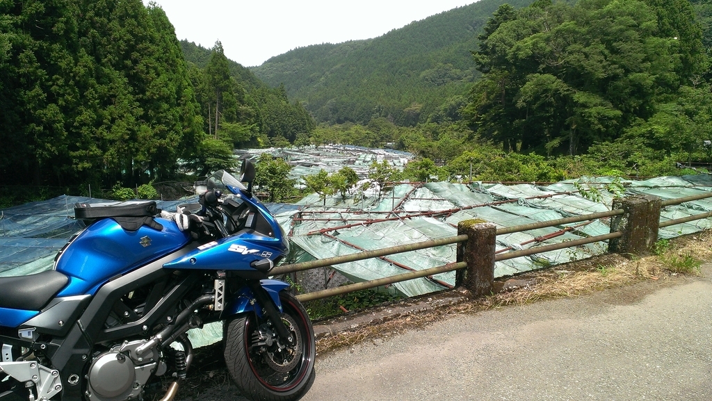 f:id:sticknumber31:20190112235808j:plain