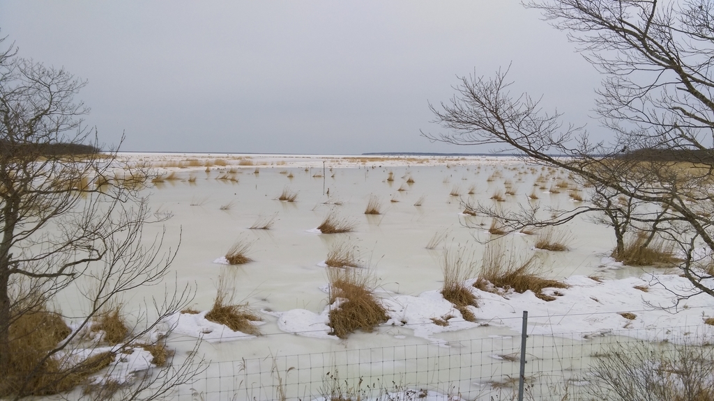 f:id:sticknumber31:20190123222746j:plain f:id:sticknumber31:20190123222746j:plain