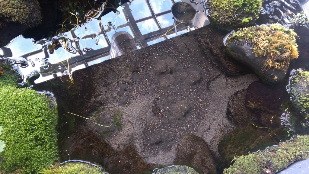 f:id:sticknumber31:20190123224459j:plain f:id:sticknumber31:20190123224459j:plain