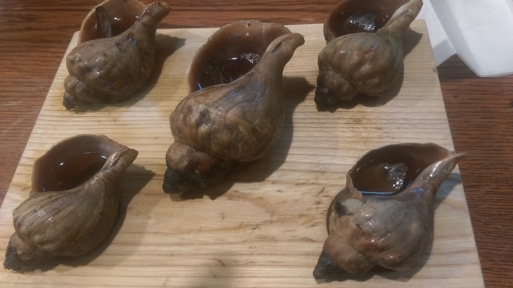 f:id:sticknumber31:20190131230911j:plain