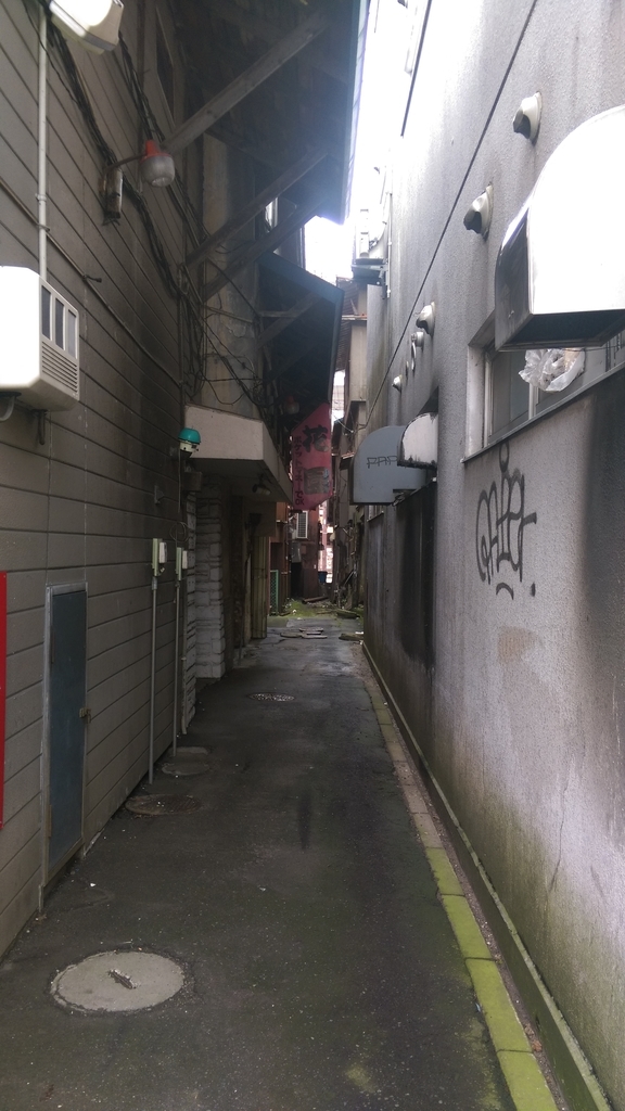 f:id:sticknumber31:20190131232108j:plain