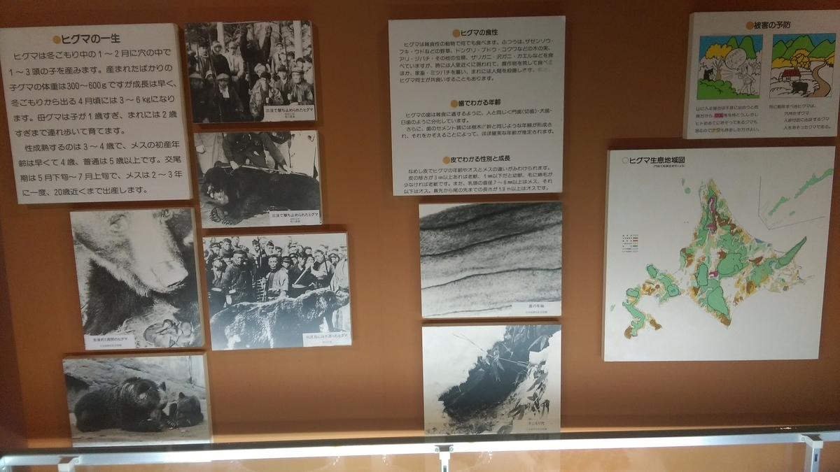 f:id:sticknumber31:20190724220107j:plain