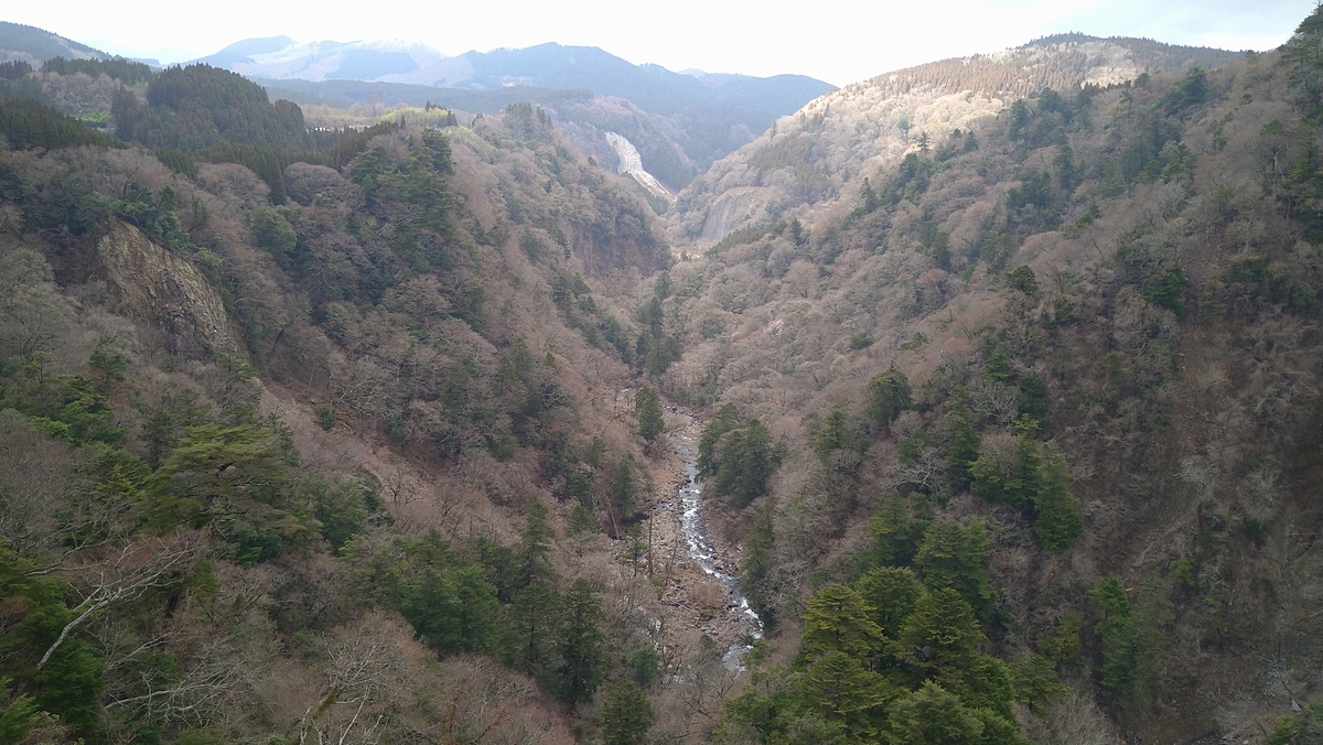 f:id:sticknumber31:20210402230216j:plain