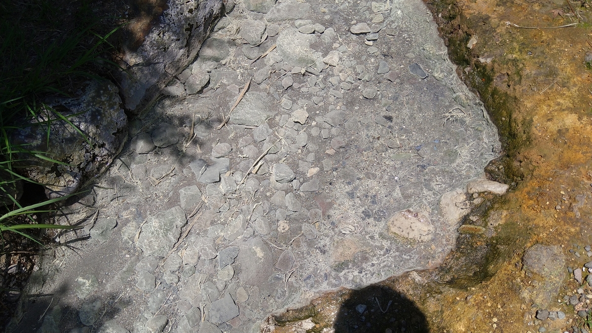 f:id:sticknumber31:20210602235106j:plain