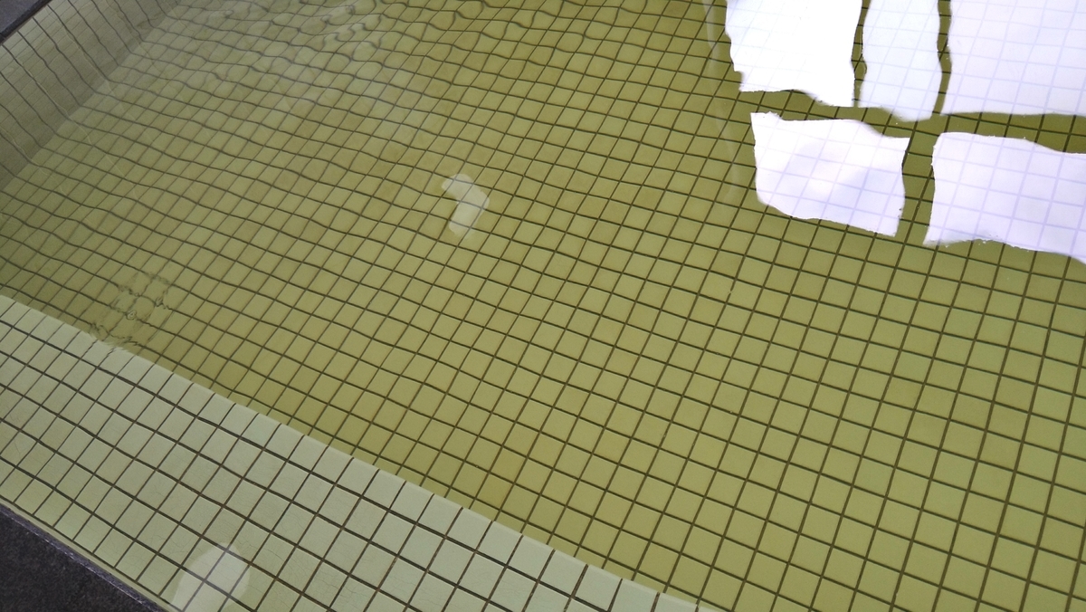 f:id:sticknumber31:20210812164841j:plain