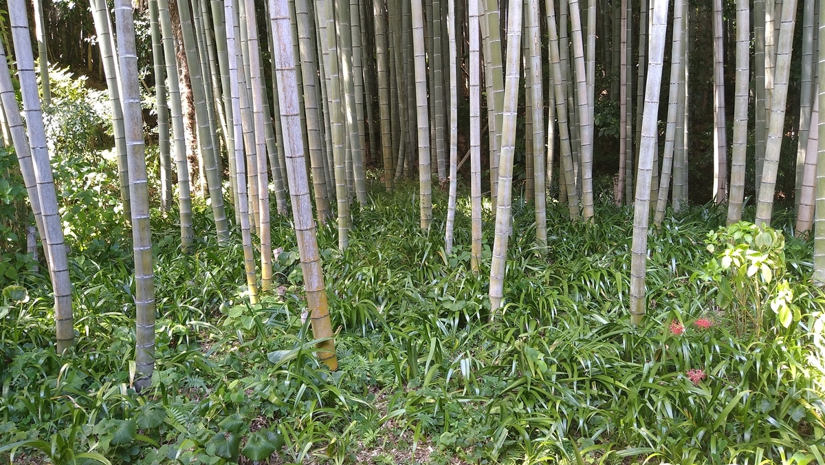 f:id:sticknumber31:20210928014047j:plain