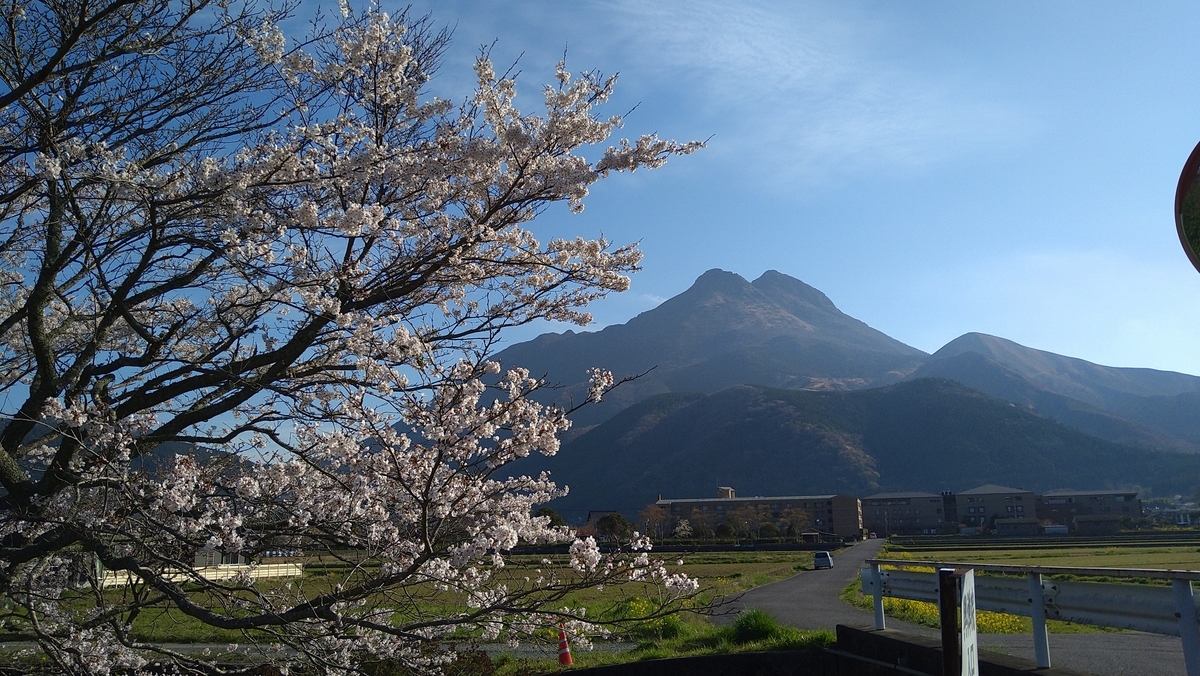 f:id:sticknumber31:20211025225246j:plain