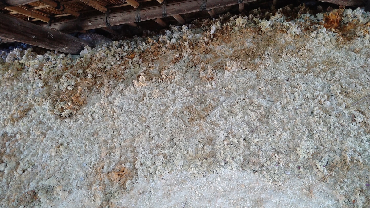 f:id:sticknumber31:20220408220605j:plain