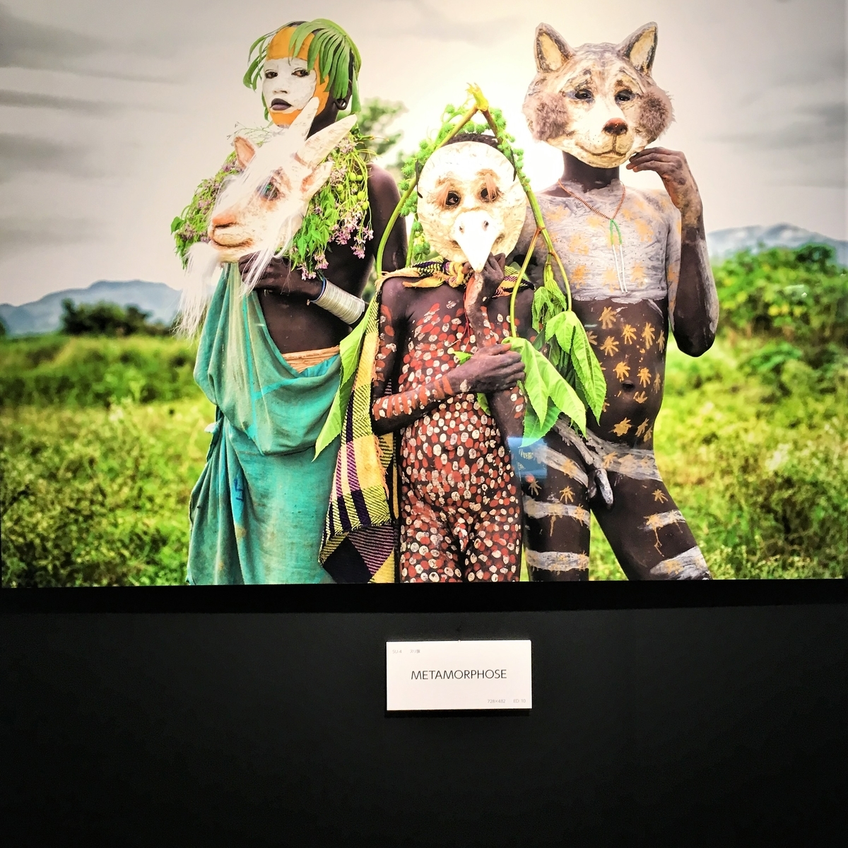 f:id:stk5:20190501171616j:plain