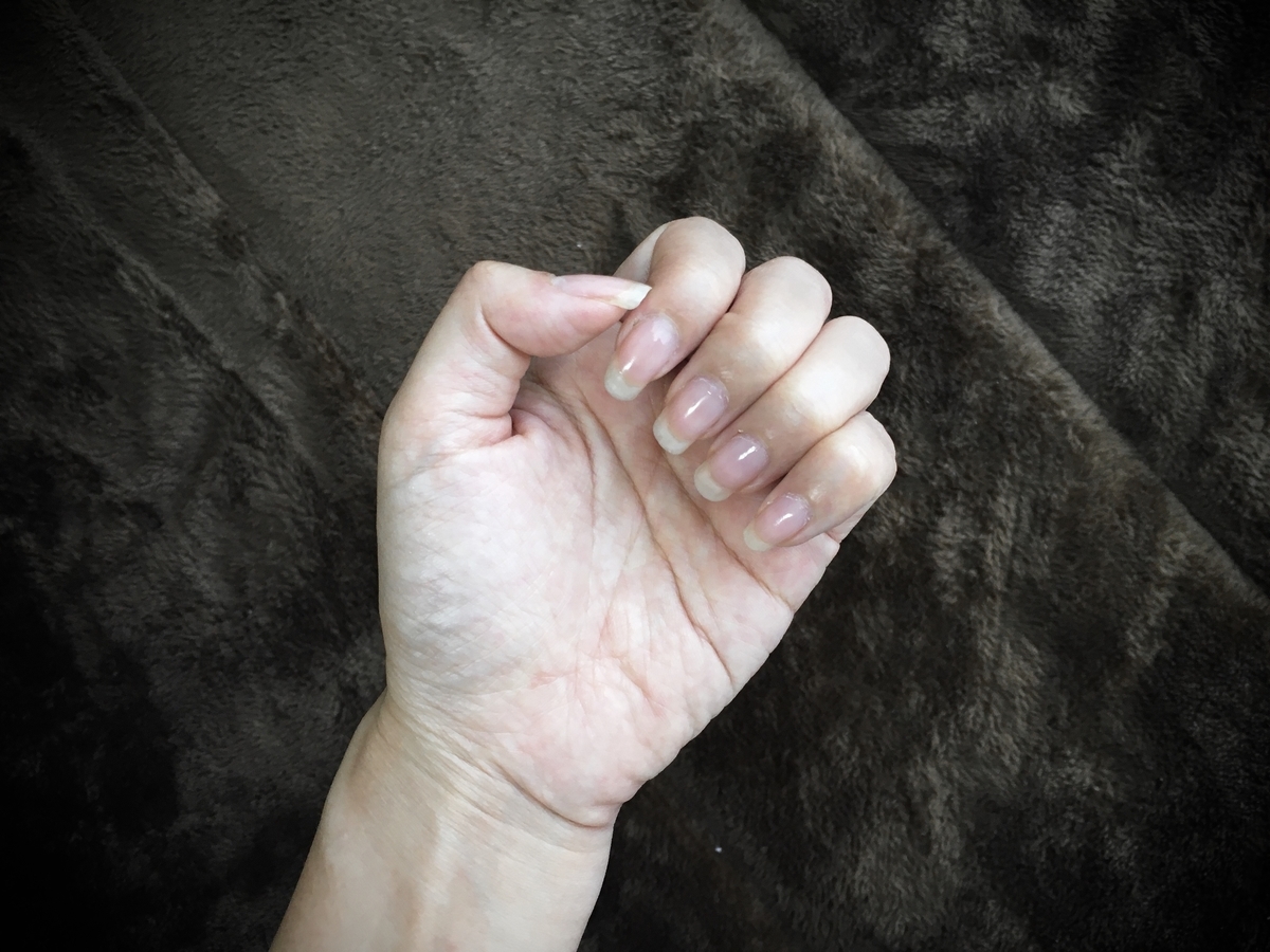 f:id:stk5:20200613154540j:plain