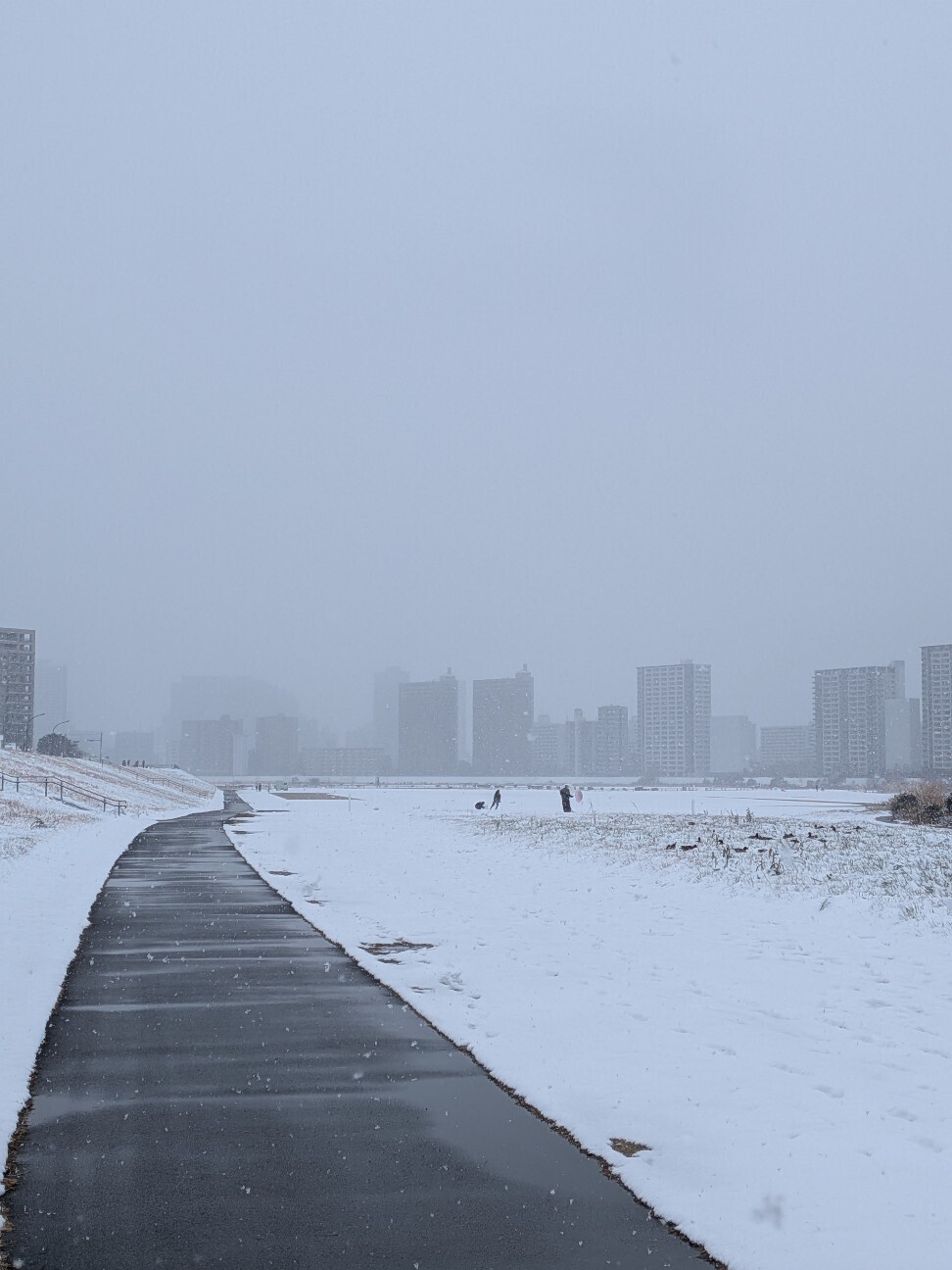 f:id:stkyk:20260208162804j:image