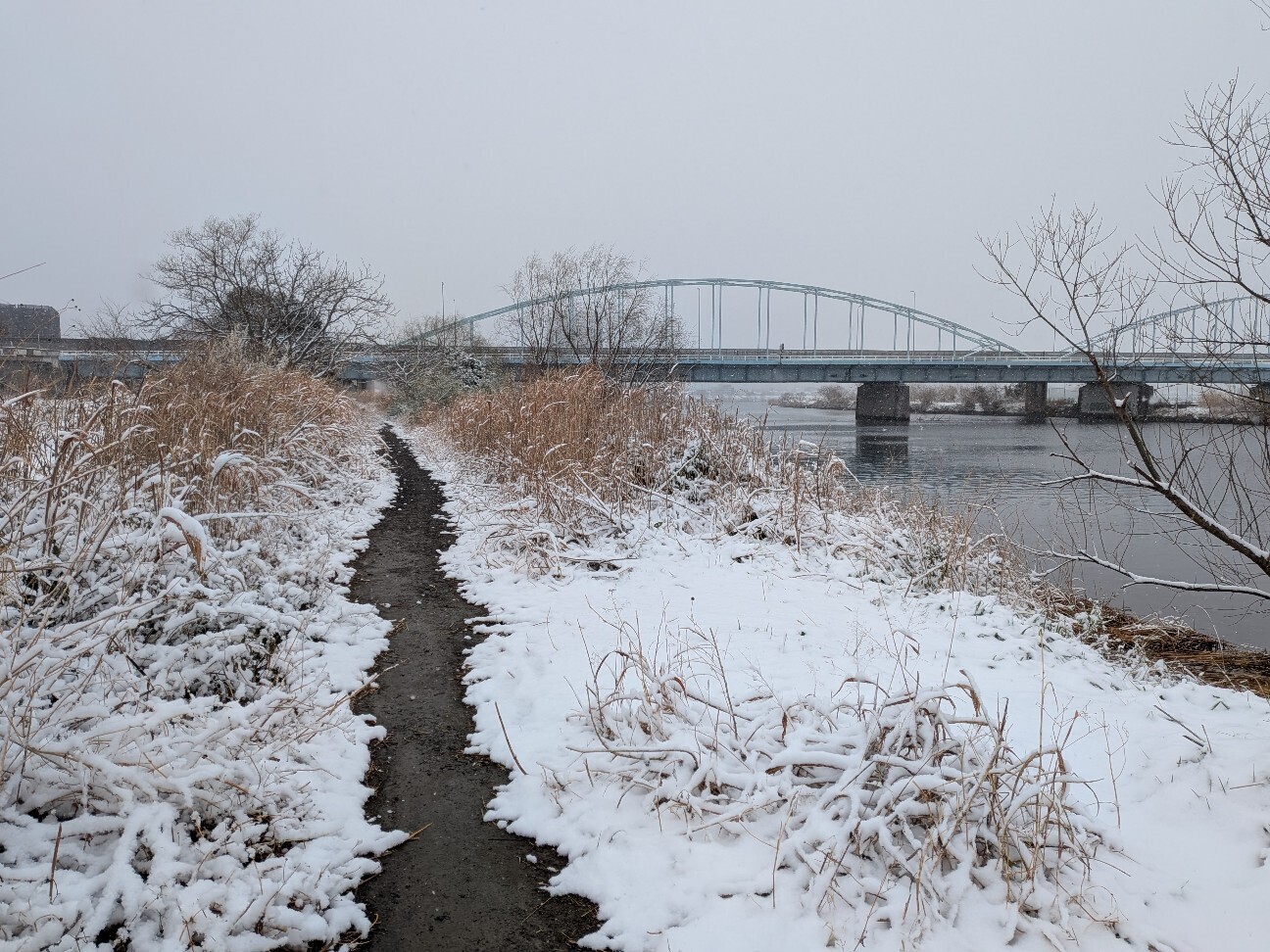 f:id:stkyk:20260208162808j:image