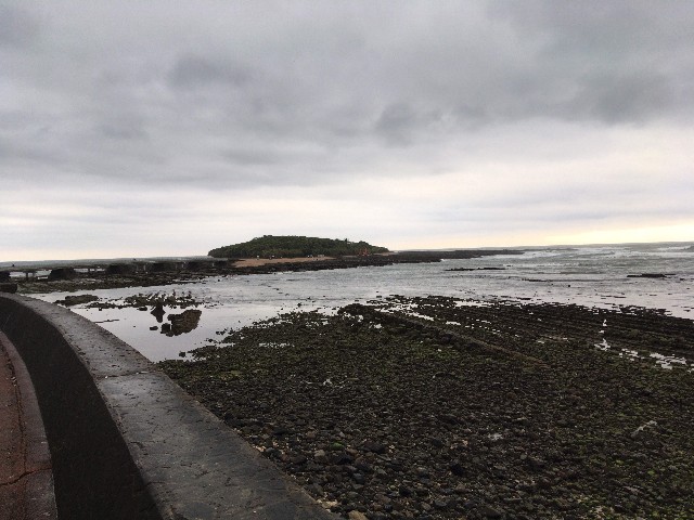 f:id:stl_tomorrow:20200119112058j:image f:id:stl_tomorrow:20200119112058j:image