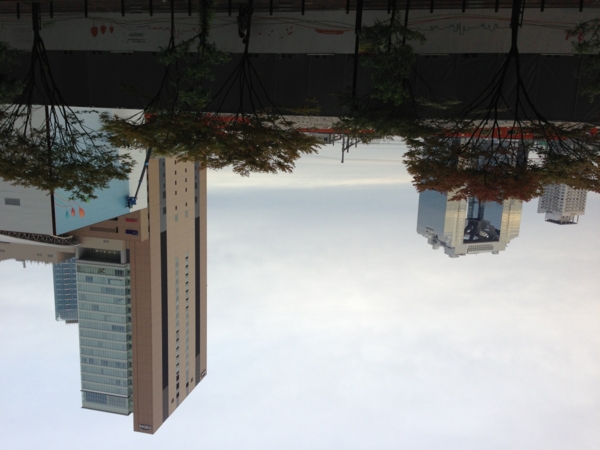f:id:stmd:20121104163523j:image:w360 f:id:stmd:20121104163523j:image:w360
