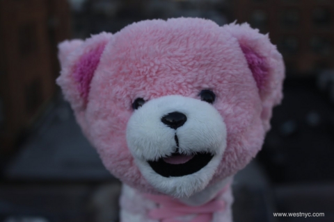 f:id:stmr:20110224132459j:image