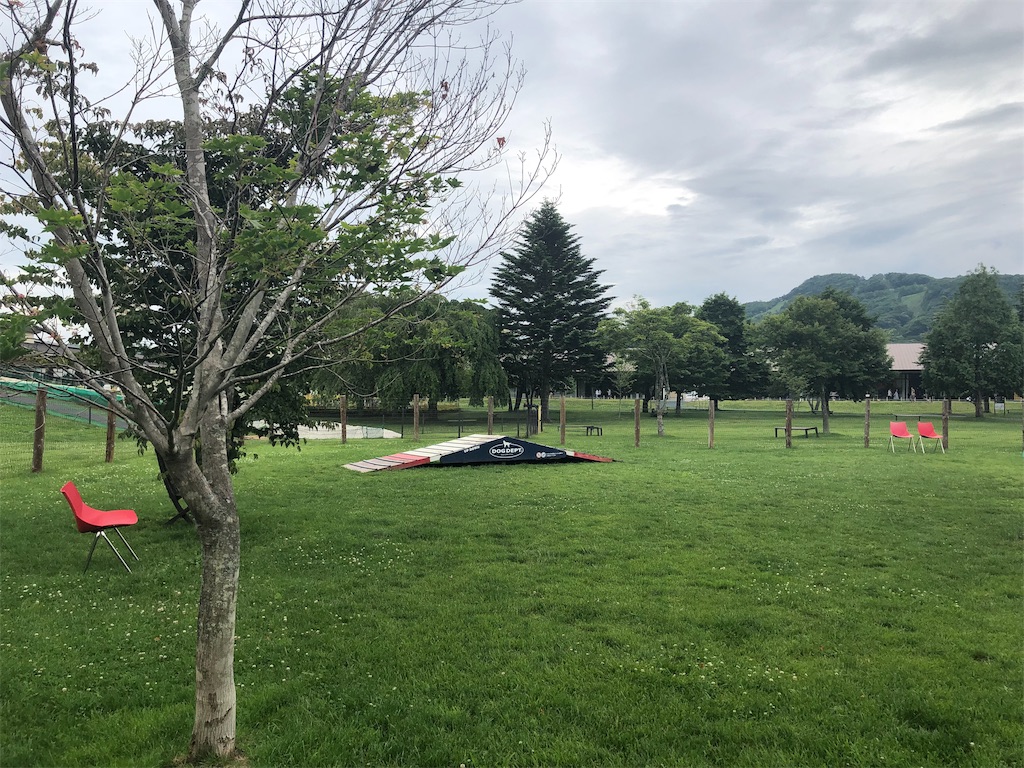 f:id:stnc01:20190628224329j:image