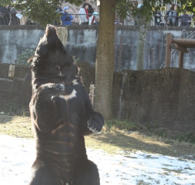 f:id:stnk191393:20090118104031j:image f:id:stnk191393:20090118104031j:image