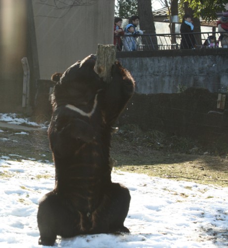 f:id:stnk191393:20090118104232j:image f:id:stnk191393:20090118104232j:image