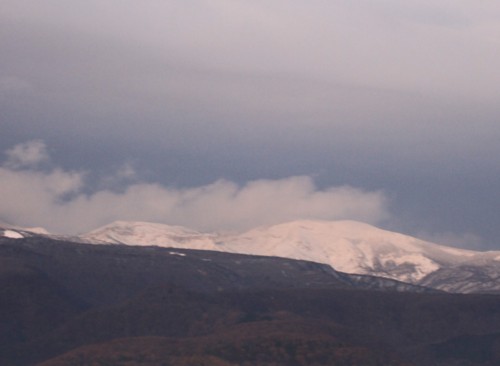 f:id:stnk191393:20091121060841j:image f:id:stnk191393:20091121060841j:image