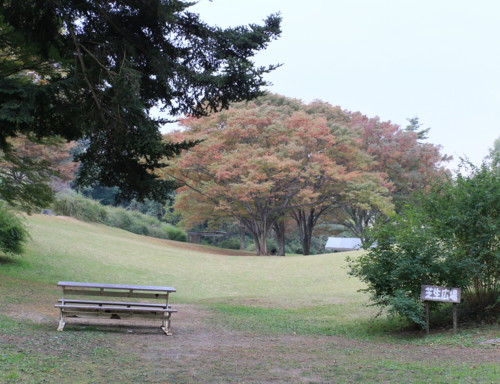 f:id:stnk191393:20151020145948j:image