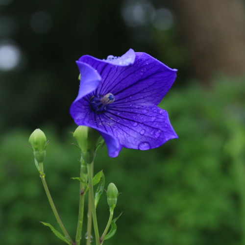 f:id:stnk191393:20160709153412j:image