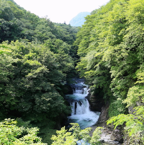 f:id:stnk191393:20160712135132j:image