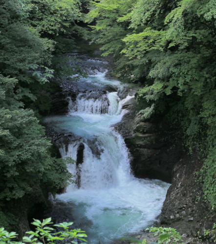 f:id:stnk191393:20160712135644j:image