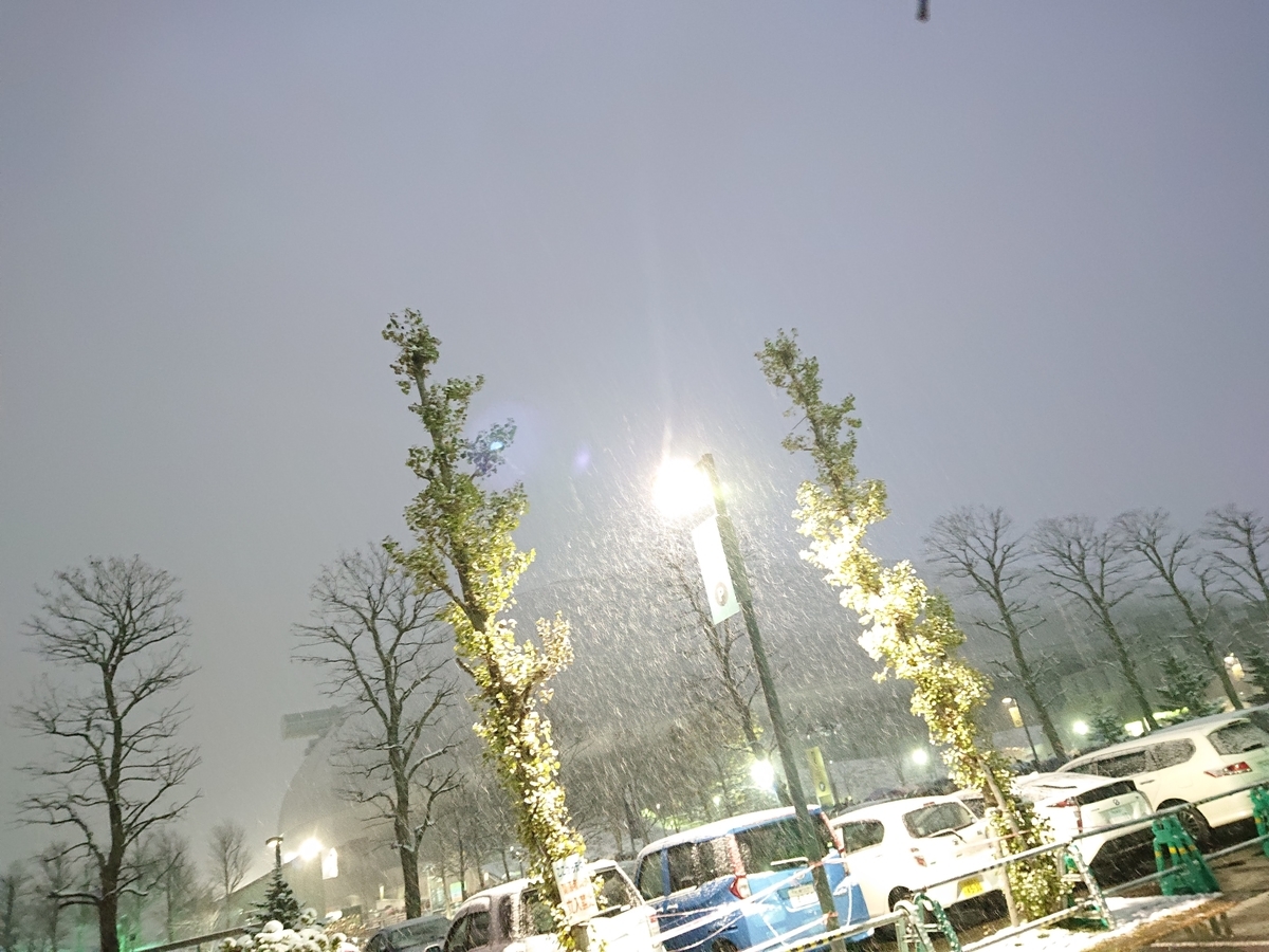 f:id:stnsoO:20201116212419j:plain