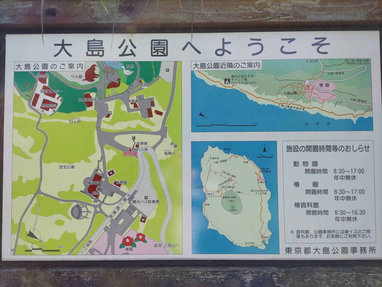 伊豆大島の旅－6：大島公園 - 停車場遍路のよろず旅メモ