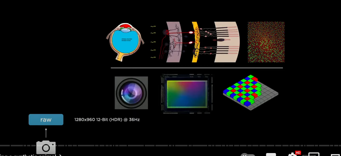 f:id:stockbh:20211103155334p:plain