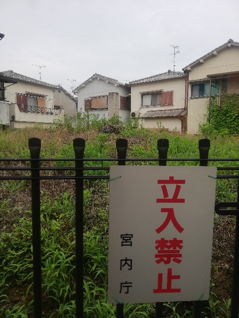 f:id:stoic_tarako:20190714173742j:image f:id:stoic_tarako:20190714173742j:image