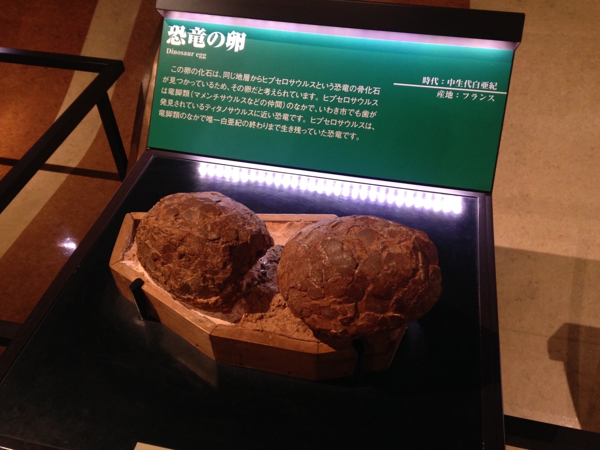 恐竜の卵