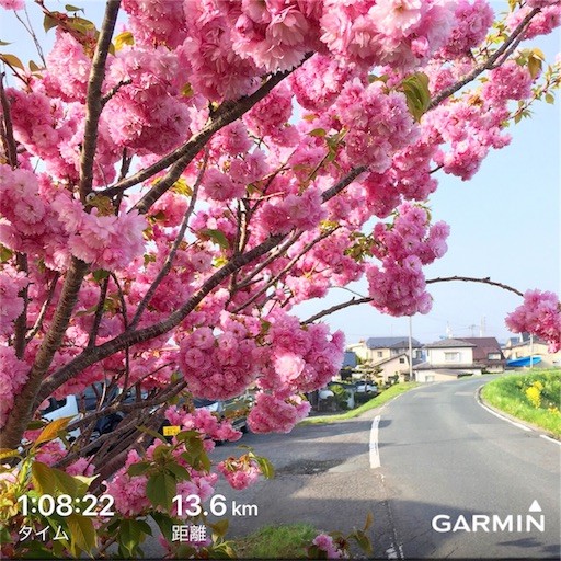 f:id:ston:20170507204503j:image f:id:ston:20170507204503j:image