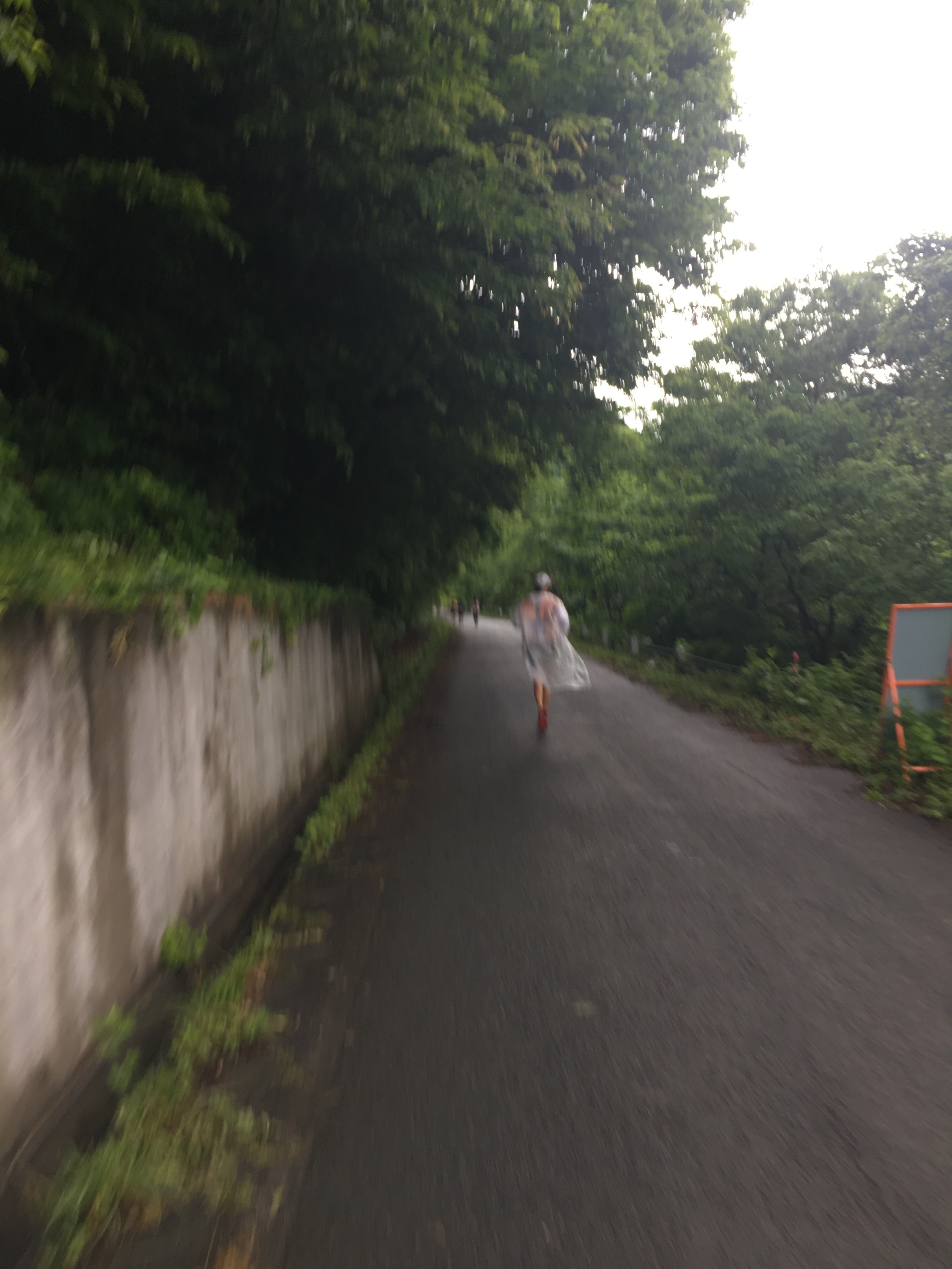 f:id:ston:20170619114606j:image f:id:ston:20170619114606j:image