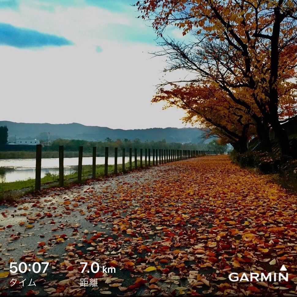 f:id:ston:20171104210422j:image