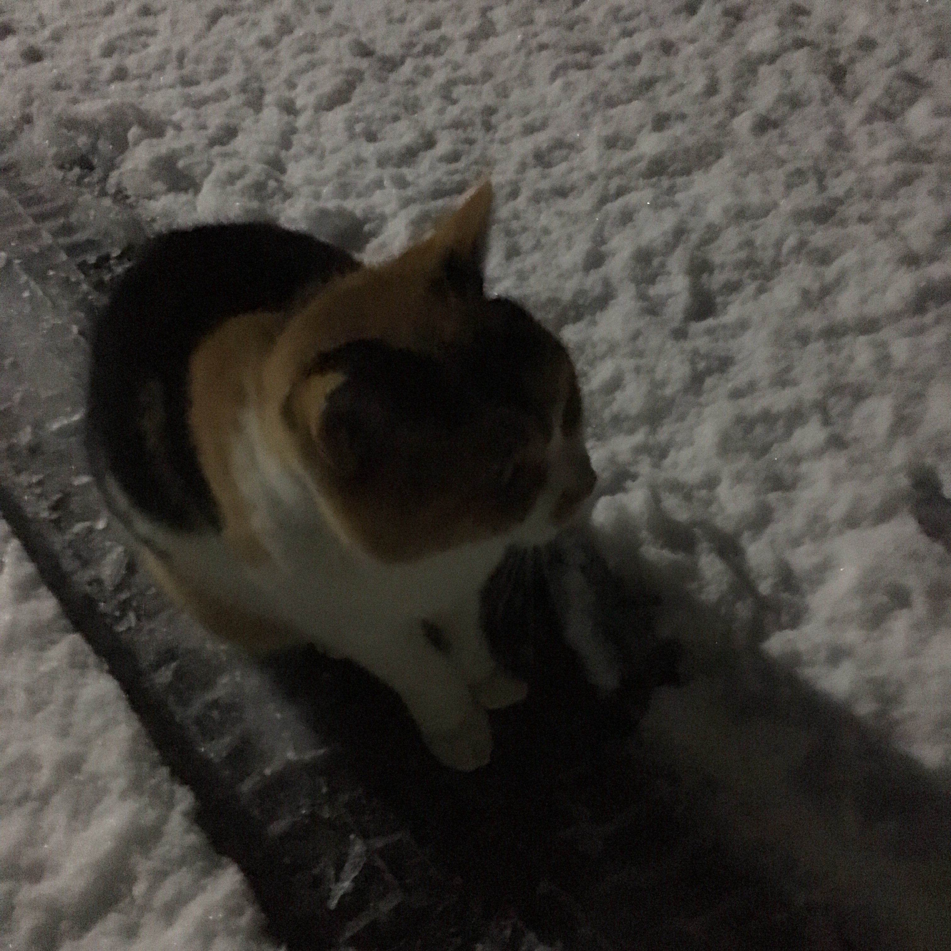 f:id:ston:20171219215317j:image f:id:ston:20171219215317j:image