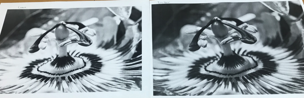 f:id:stone-book:20181012024434p:plain f:id:stone-book:20181012024434p:plain