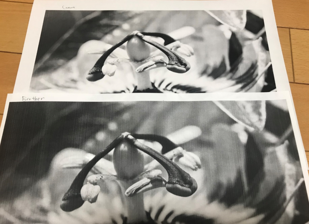 f:id:stone-book:20181012024505p:plain f:id:stone-book:20181012024505p:plain