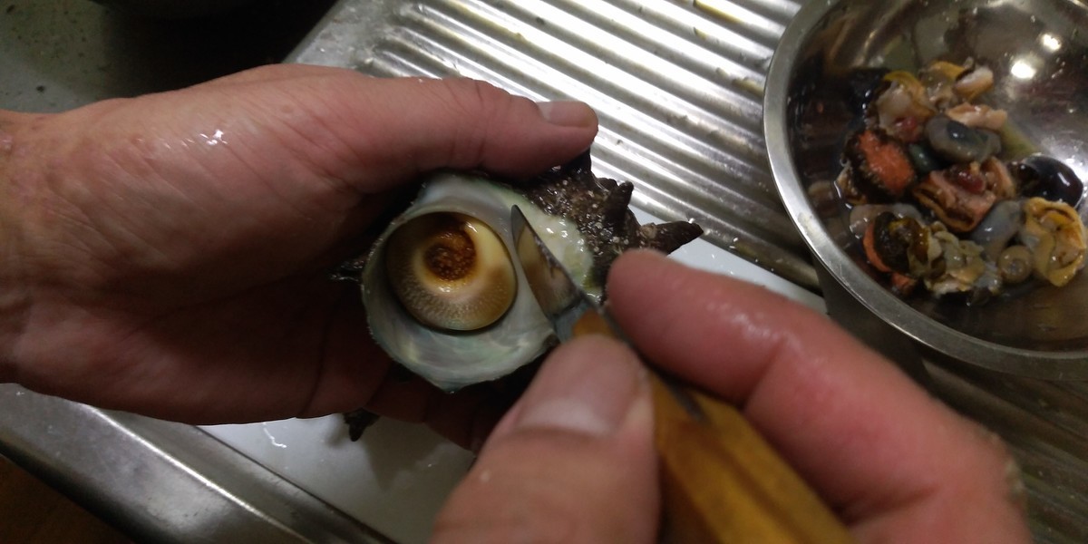 f:id:stonedlove:20220409191130j:plain