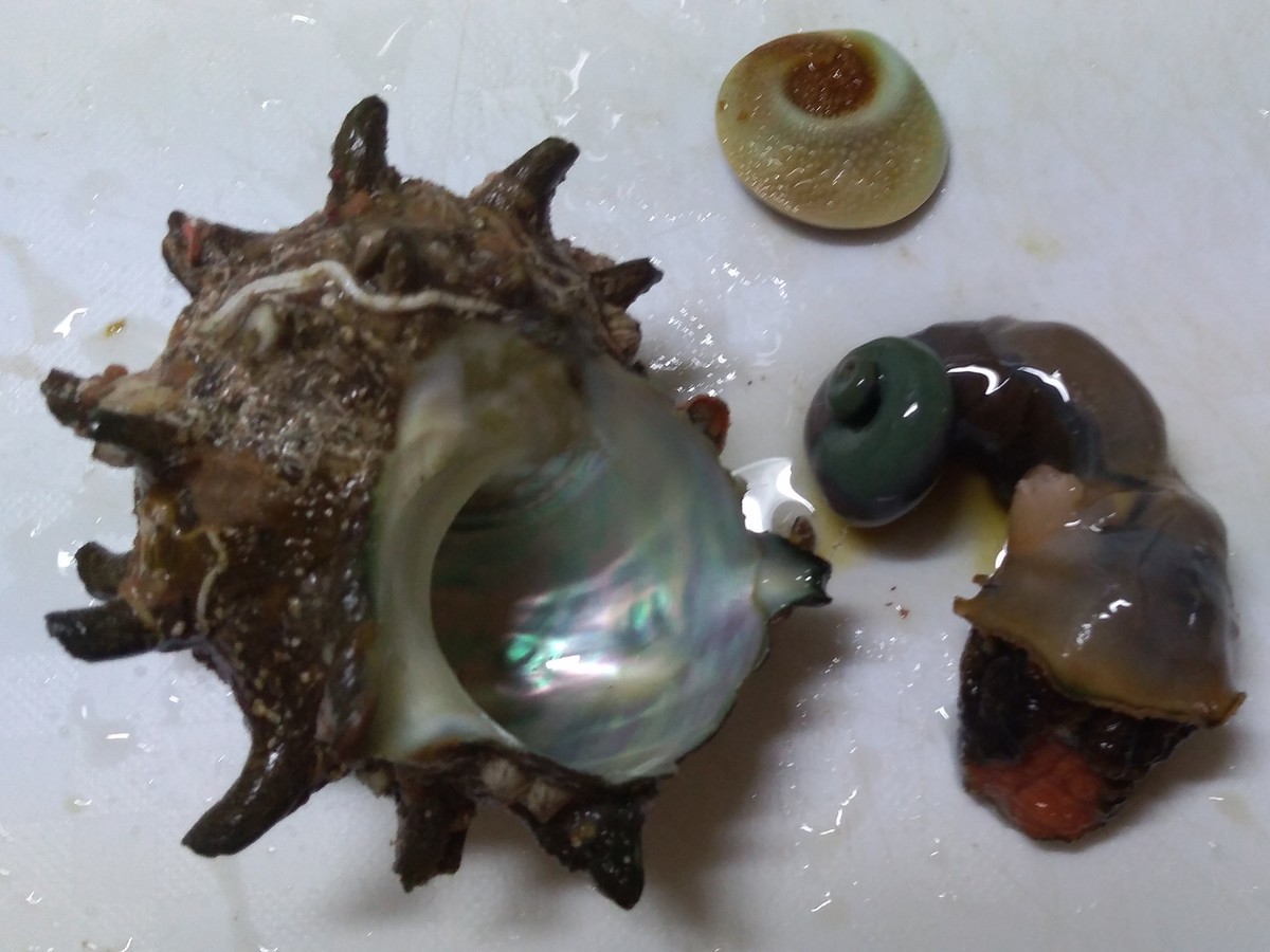 f:id:stonedlove:20220409191308j:plain