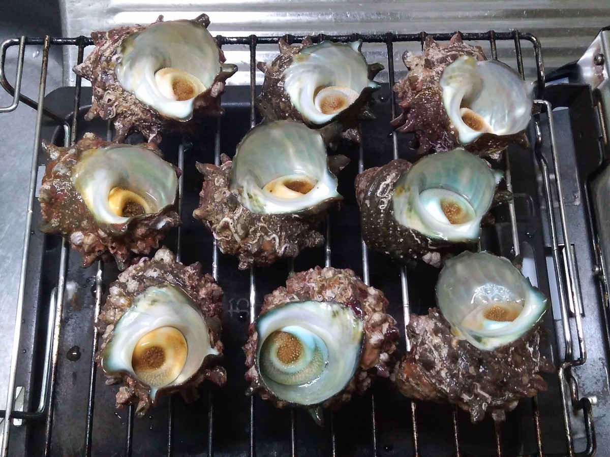 f:id:stonedlove:20220409195354j:plain