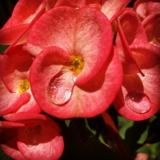 f:id:stonehomestay:20200524135649j:plain f:id:stonehomestay:20200524135649j:plain