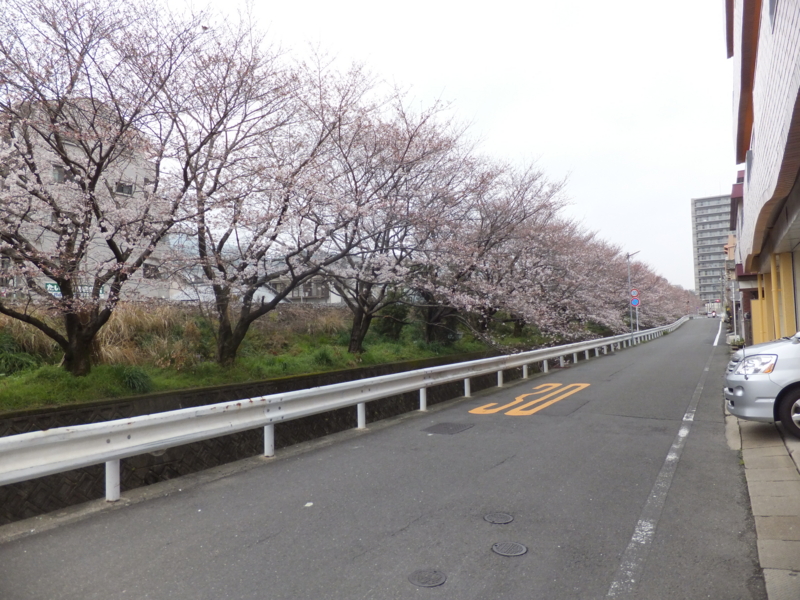 f:id:stoneriverki:20130319002205j:image:w360